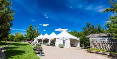 Tent Rentals 